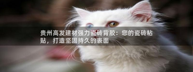 杏鑫娱乐靠谱吗