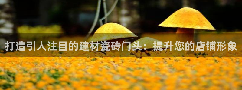杏鑫平台招商怎么样可靠吗