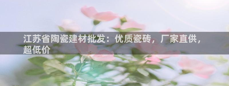 杏鑫代理注册资金多少