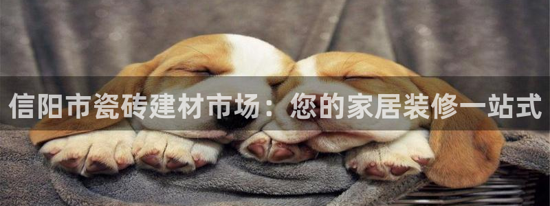 杏鑫官网最新信息