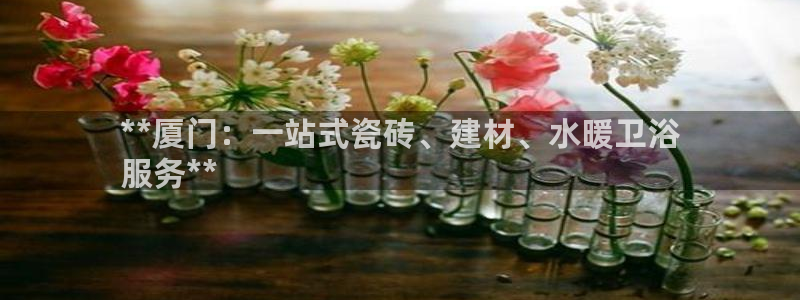 杏鑫娱乐怎么下