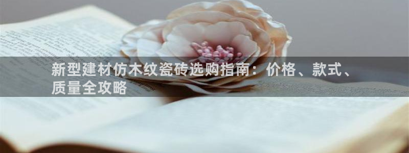 杏鑫主管