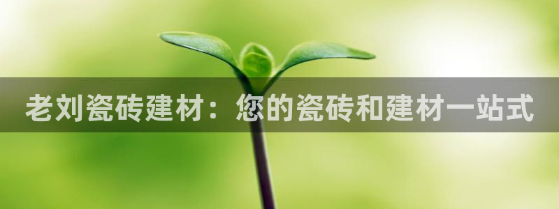 杏鑫娱乐官网