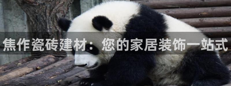 杏鑫平台注册入口