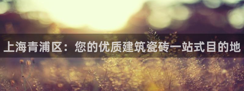 杏鑫平台是黑平台吗