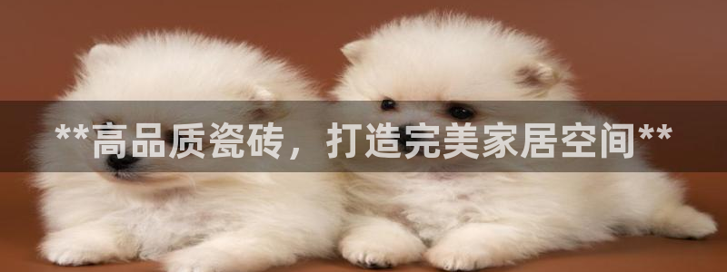 杏鑫主管