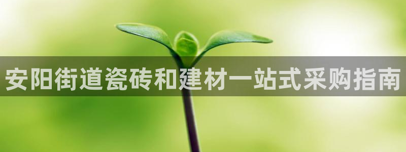 杏鑫平台注册入口在哪