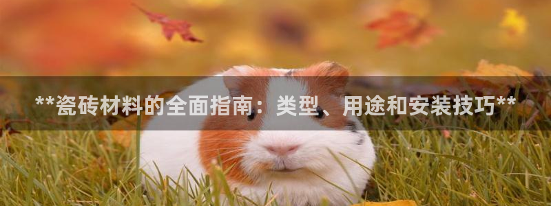 杏鑫注册平台官方网站下载