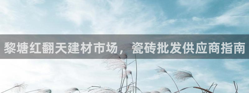 杏鑫平台登录注册