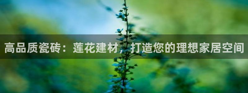 杏鑫娱乐-官方网站
