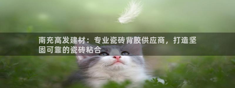 杏鑫平台代理注册多少钱一年