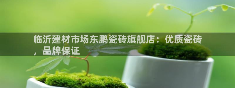 杏鑫平台代理注册登录不了怎么办呀