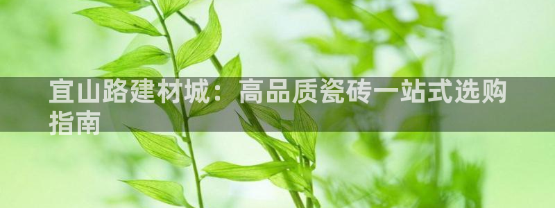 杏鑫平台官方网站