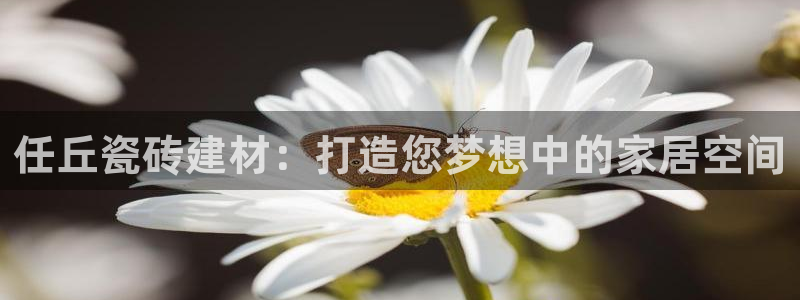 杏鑫官方app代理