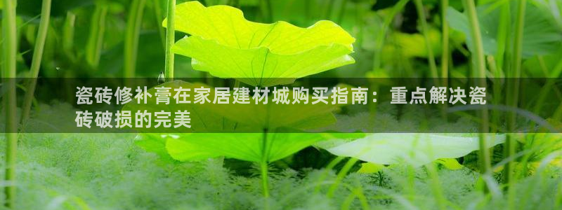 杏鑫官网最新信息新闻报道