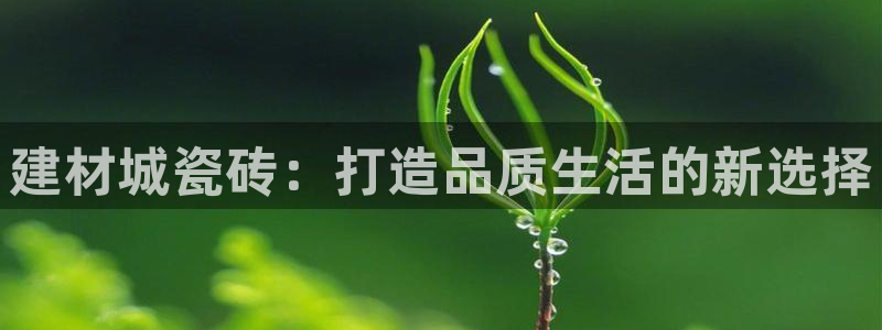 杏鑫主管