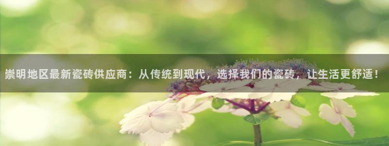 杏鑫代理注册资金多少