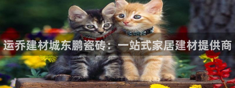 杏鑫注册登录网址是什么