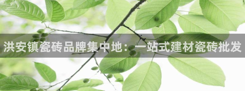 杏鑫娱乐是真的吗知乎