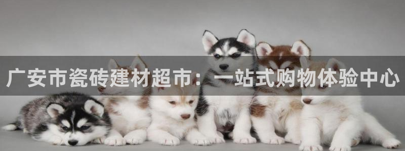 杏鑫平台注册网址是什么