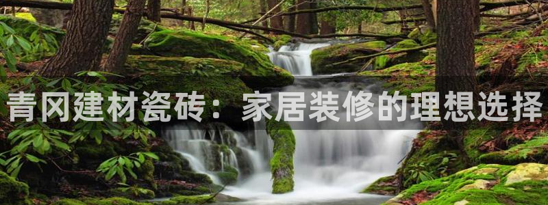 杏鑫平台代理注册流程视频