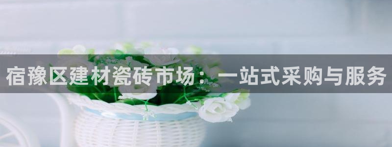 杏鑫平台注册地址是哪里