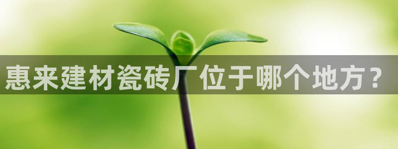 杏鑫平台下载安装