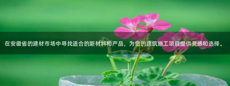 杏鑫平台正规吗