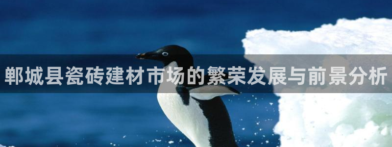 杏鑫官网注册账号是什么意思