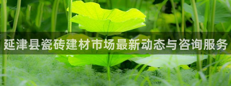 杏鑫平台正规吗是真的吗