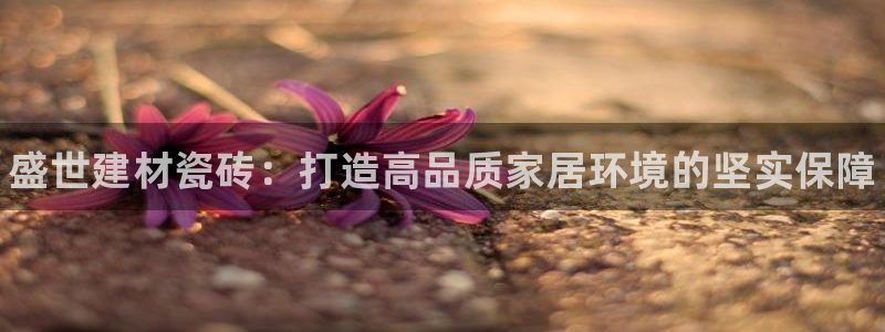 杏鑫平台注册地址是哪里