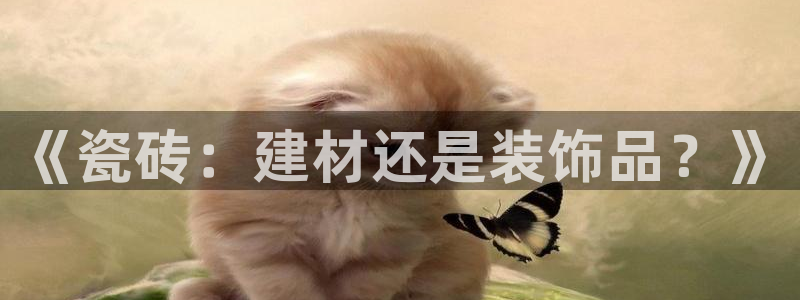 杏鑫平台是黑平台吗是真的吗