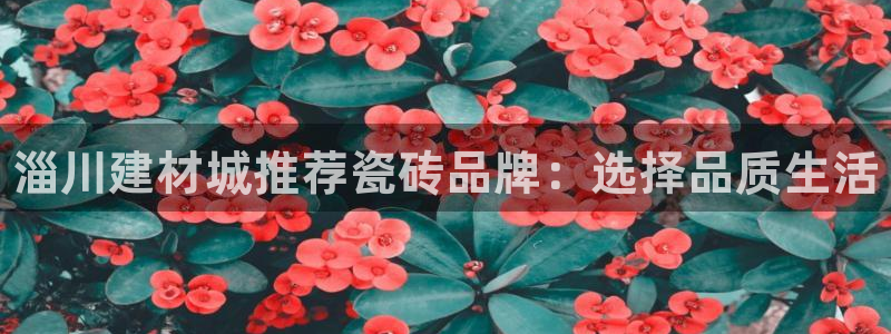 杏鑫娱乐怎么样