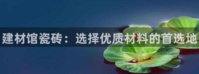 杏鑫平台平台娱乐