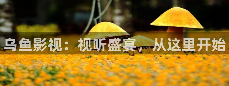海狮视频免费观看所有电视剧大全